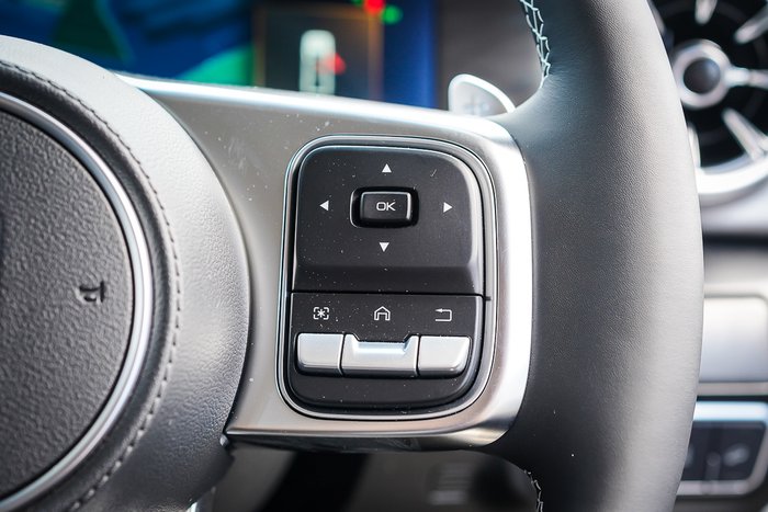 2025 GWM GWM TANK 300