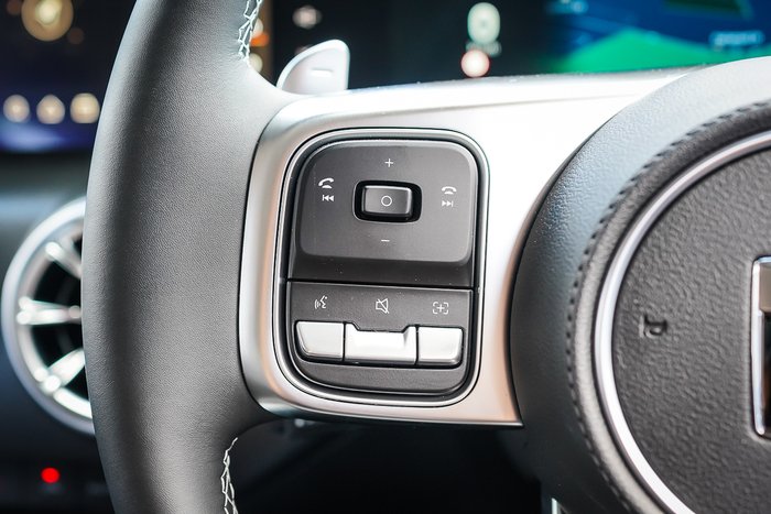 2025 GWM GWM TANK 300