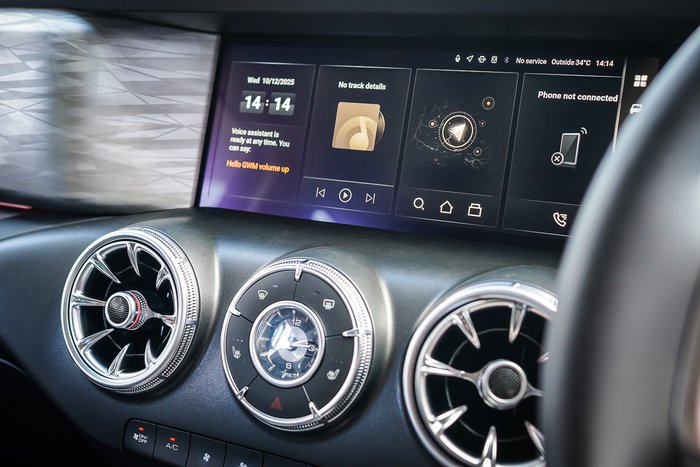 2025 GWM GWM TANK 300