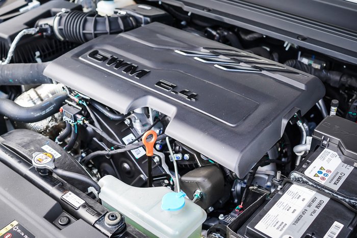 2025 GWM GWM TANK 300