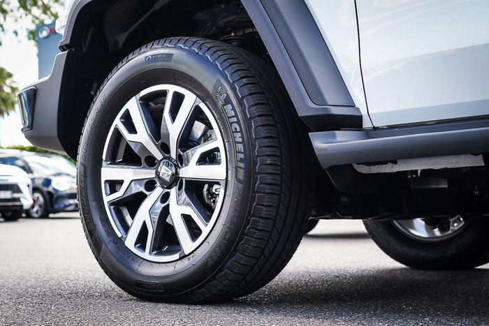 2025 GWM GWM TANK 300