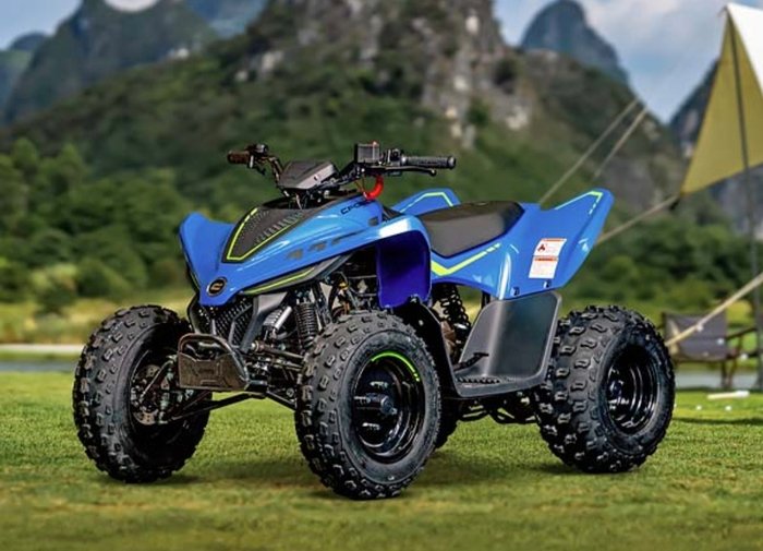 2026 CFMOTO CFORCE 110