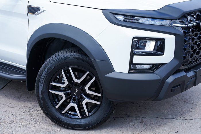 2026 JAC JAC T9