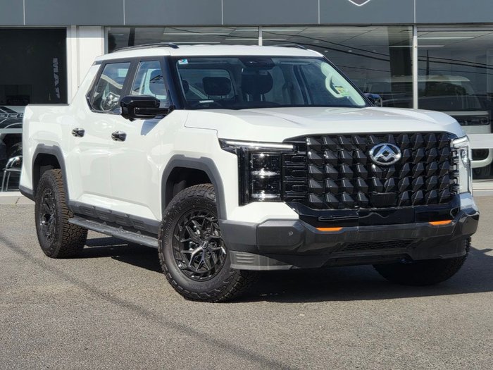 2025 LDV Terron 9