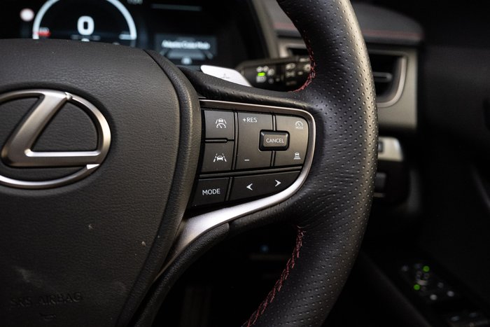2025 Lexus UX300h F Sport 2WD
