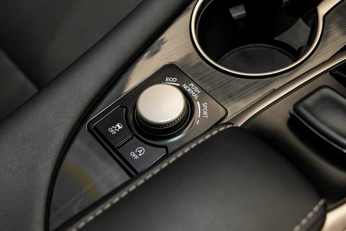 2018 Lexus RX300 Luxury 2.0L Turbo Automatic Wagon