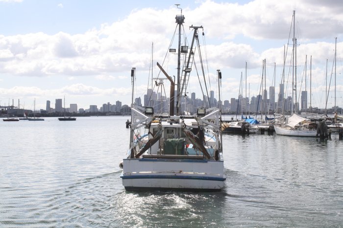 1979 Trawler Timber