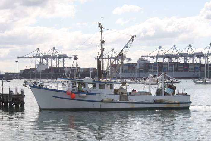 1979 Trawler Timber