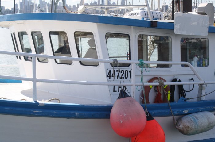 1979 Trawler Timber