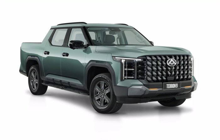 2025 LDV Terron 9 Origin EKK1C GREEN