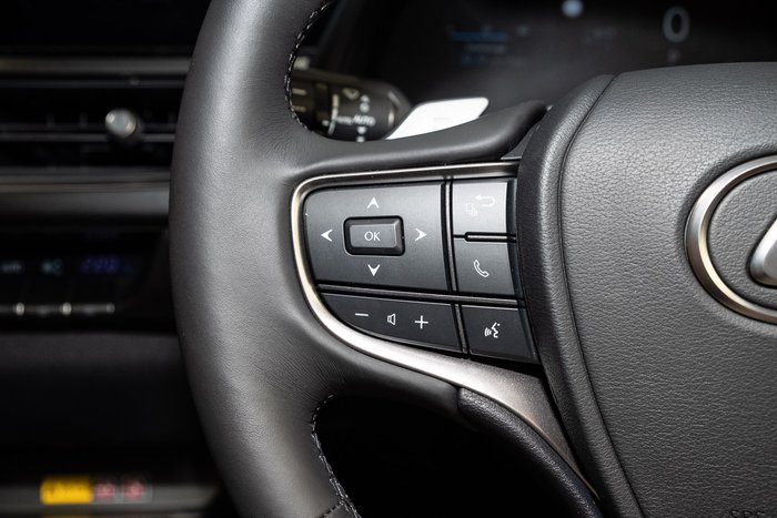 2024 Lexus UX300E Sports Luxury 71.4 kWh Li-ion batt Automatic SUV