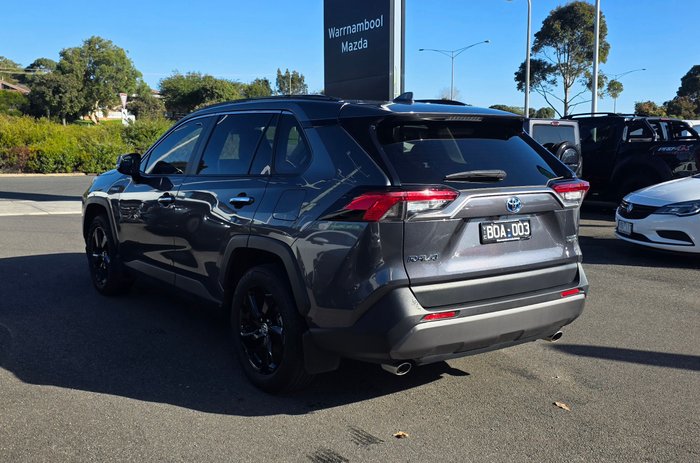 2021 Toyota RAV4 Cruiser