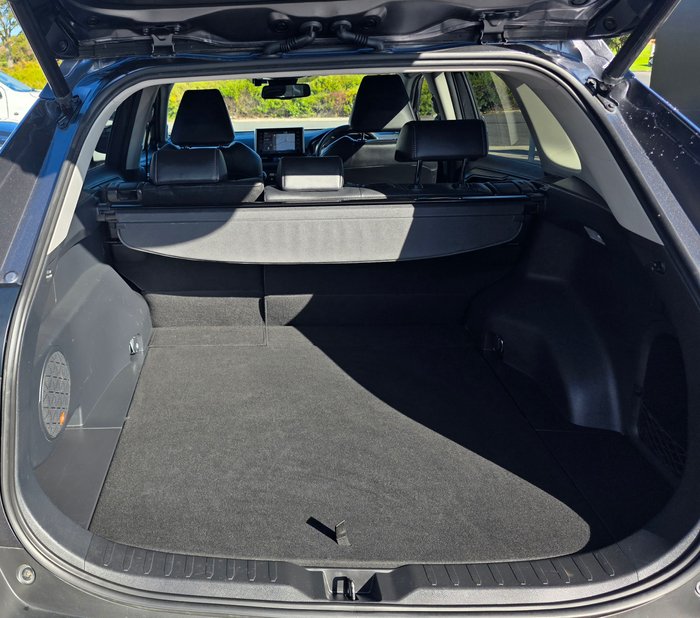 2021 Toyota RAV4 Cruiser
