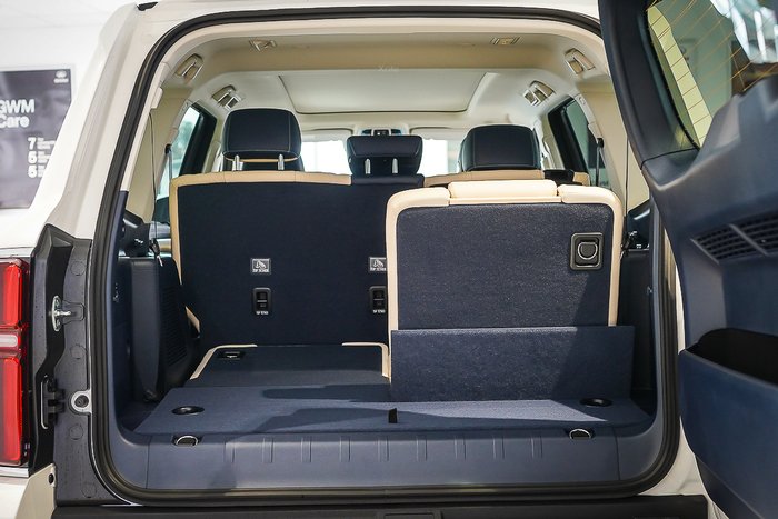 2025 GWM GWM TANK 500