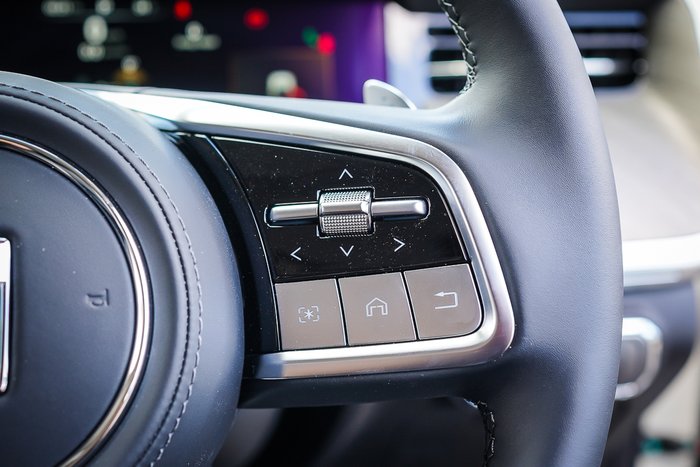 2025 GWM GWM TANK 500