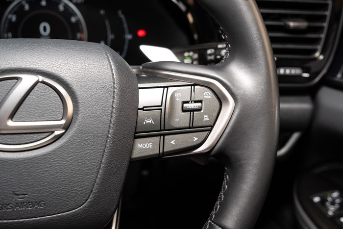 2025 Lexus NX250 Base 2.5L Petrol Automatic Wagon