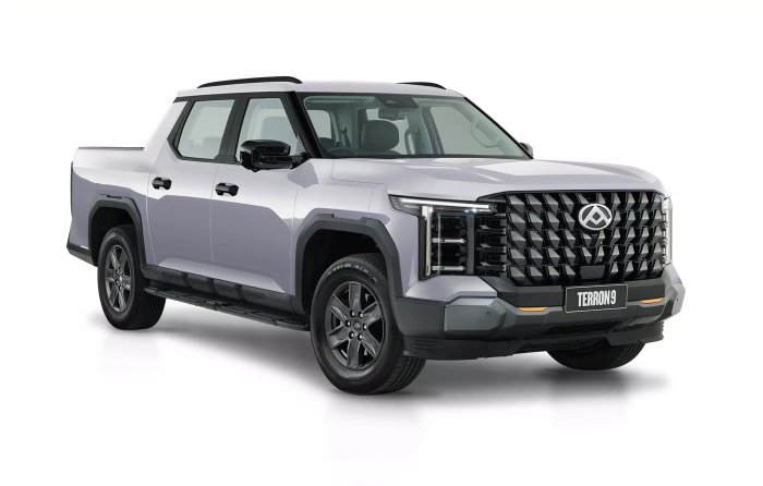 2026 LDV Terron 9 Origin GREY