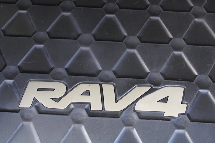 2019 Toyota RAV4 Cruiser