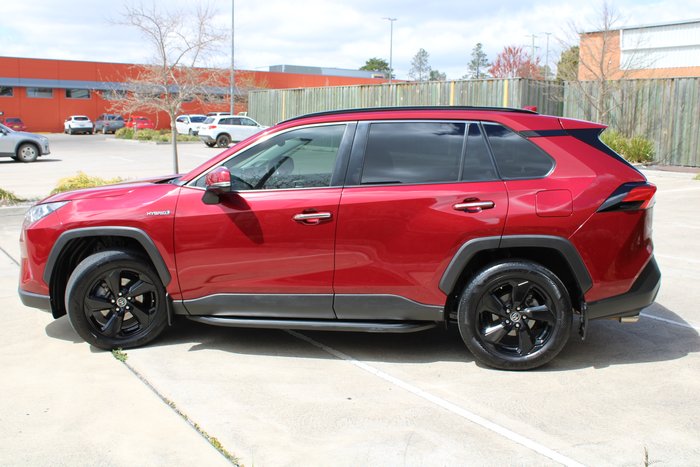 2019 Toyota RAV4 Cruiser