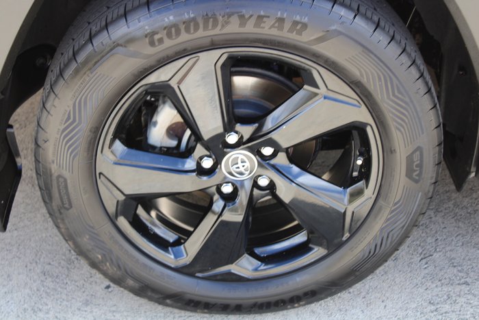 2019 Toyota RAV4 Cruiser