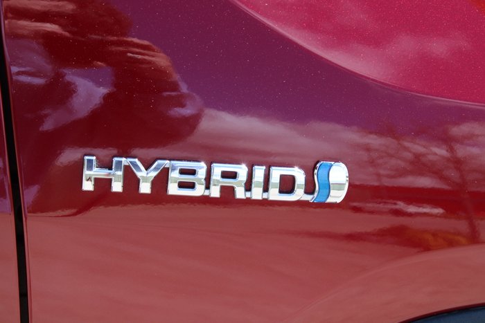 2019 Toyota RAV4 Cruiser