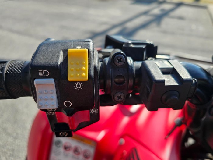 2018 Honda  TRX250TM 2WD 4-WHEELER Red