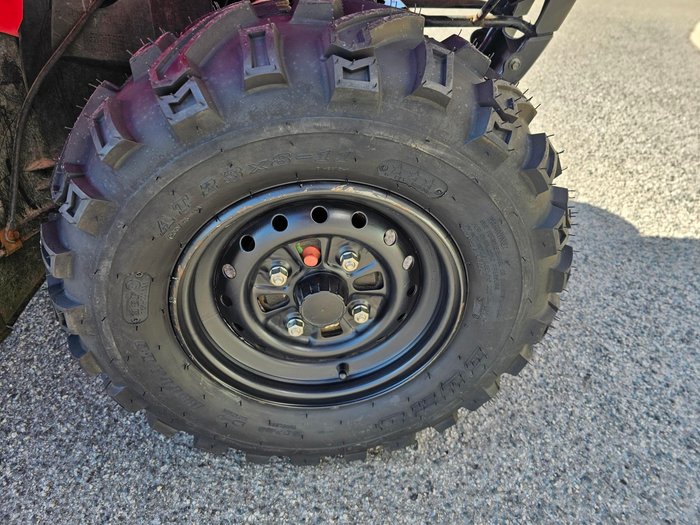 2018 Honda  TRX250TM 2WD 4-WHEELER Red