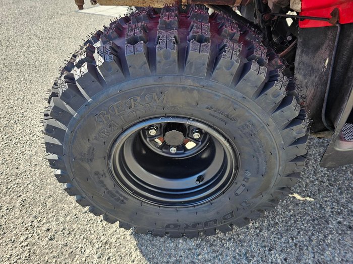 2018 Honda  TRX250TM 2WD 4-WHEELER Red