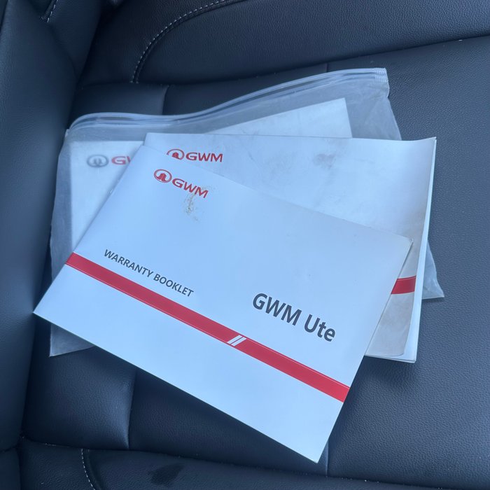 2021 GWM Ute Cannon-L