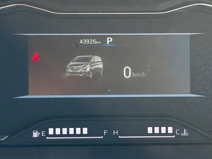 2023 LDV G10 Plus Rear Barn Doors