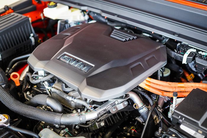 2026 GWM GWM TANK 300