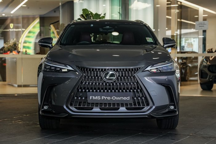 2024 Lexus NX 350h Sports Luxury