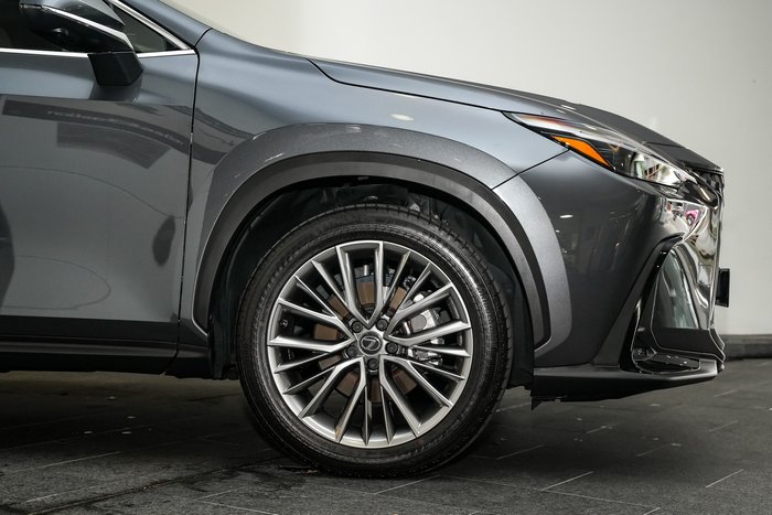 2024 Lexus NX 350h Sports Luxury
