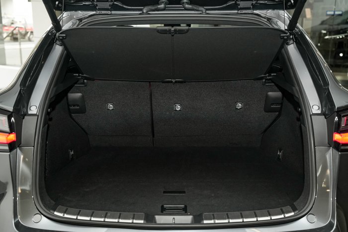 2024 Lexus NX 350h Sports Luxury