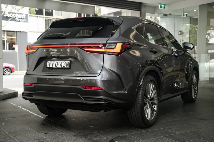 2024 Lexus NX 350h Sports Luxury