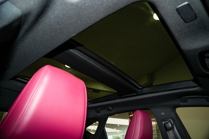 2024 Lexus NX 350h Sports Luxury