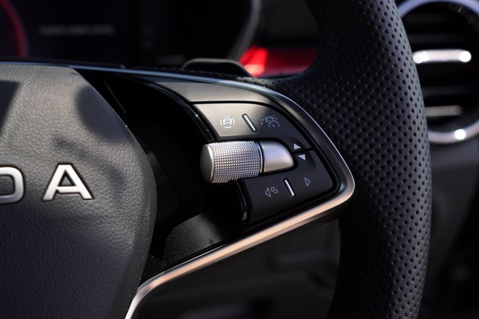 2025 SKODA Fabia 110TSI Monte Carlo