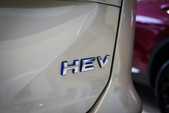 2025 GWM H6