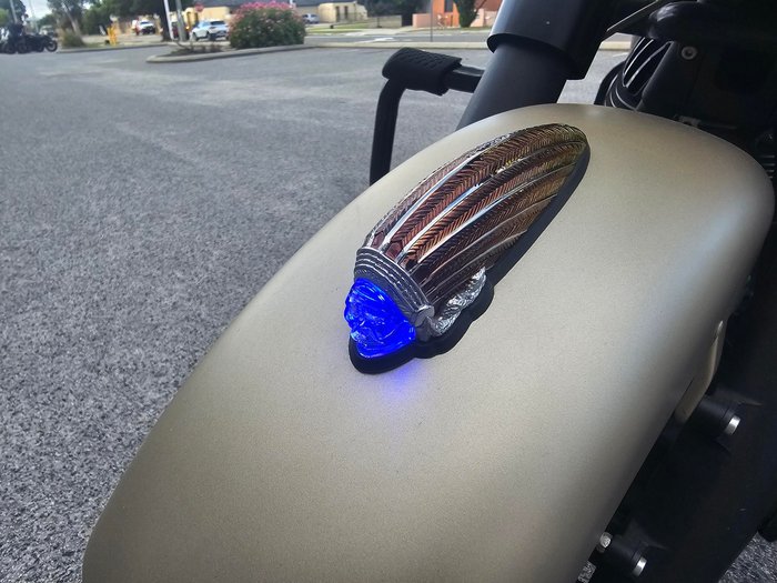 2022 Indian Chieftain Dark Horse Gold