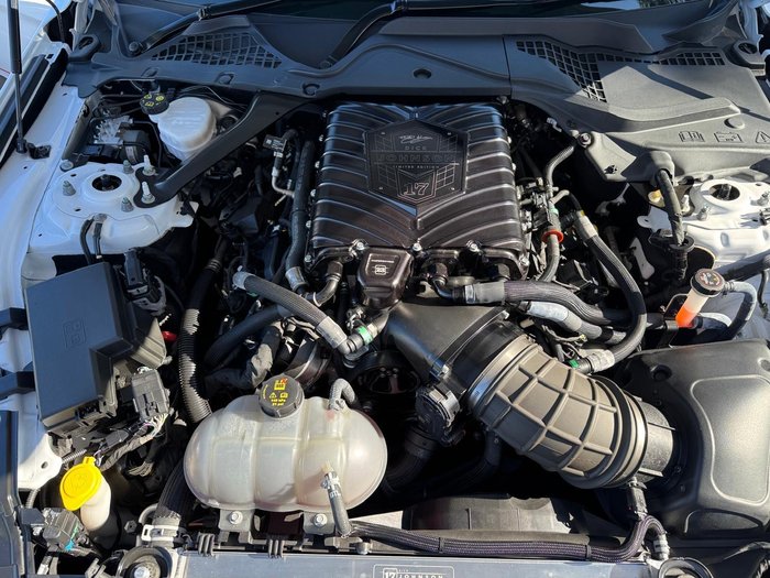 2019 Ford  Mustang  Dick Johnstone Racing 