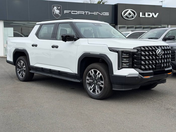 2025 LDV Terron 9 Evolve