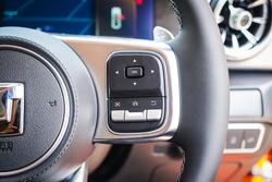 2025 GWM GWM TANK 300