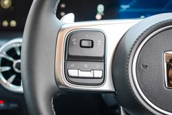 2025 GWM GWM TANK 300