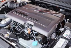 2025 GWM GWM TANK 300