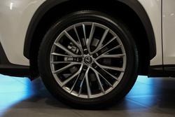 2023 Lexus NX 350h Sports Luxury