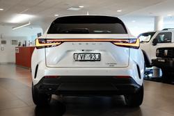 2023 Lexus NX 350h Sports Luxury