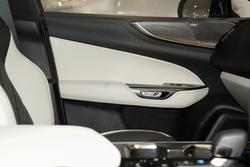 2023 Lexus NX 350h Sports Luxury