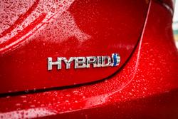 2020 Toyota CAMRY HYBRID Ascent