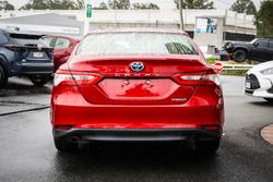 2020 Toyota CAMRY HYBRID Ascent
