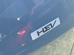 2025 Kia Sportage HEV GT-Line